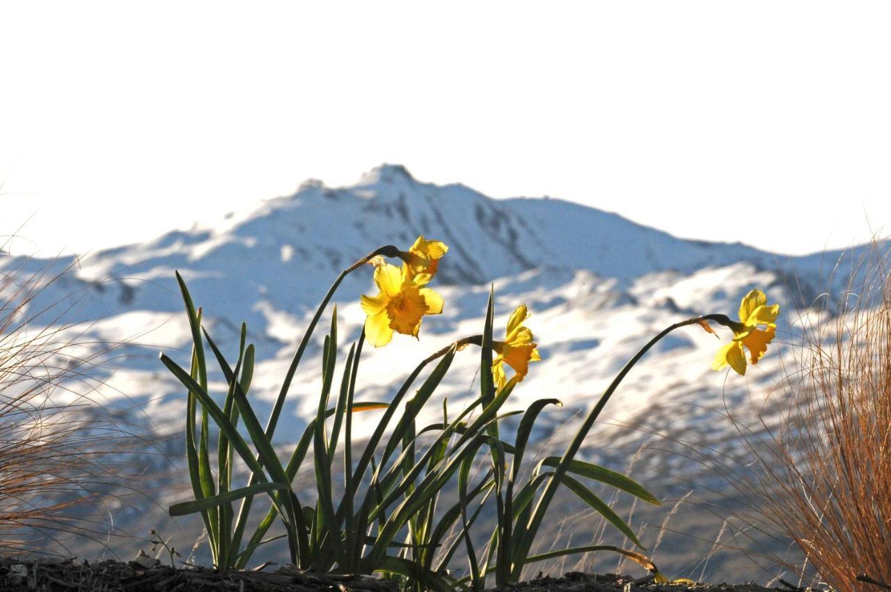Hawkridge Alpine Suite Queenstown Extérieur photo